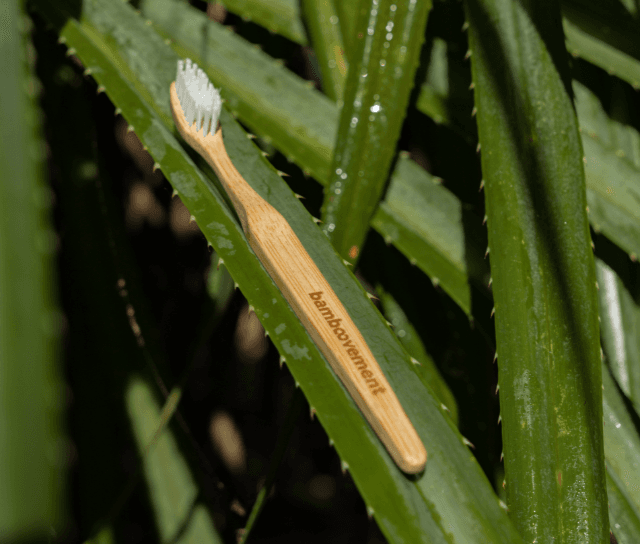 Looking to upgrade your full routine?