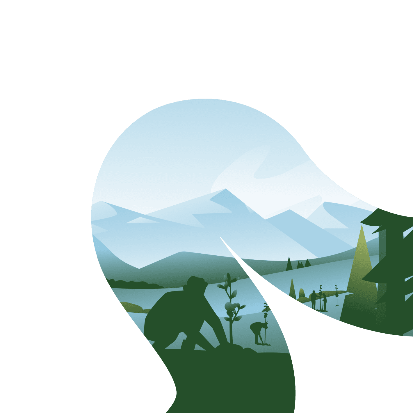 Forests of the Future