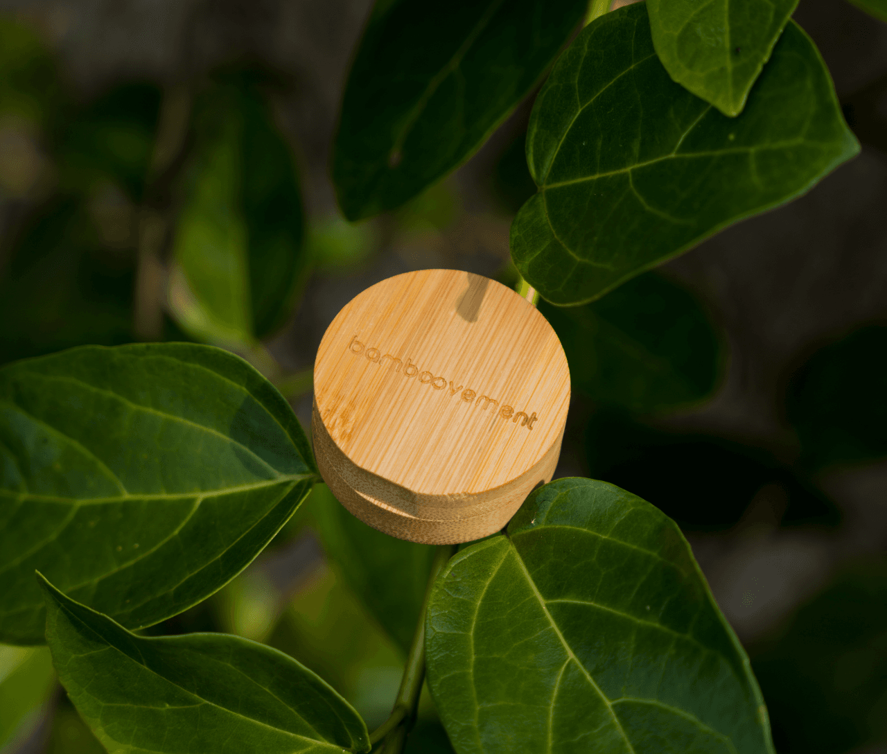 More Switches to Upgrade your Daily Routine