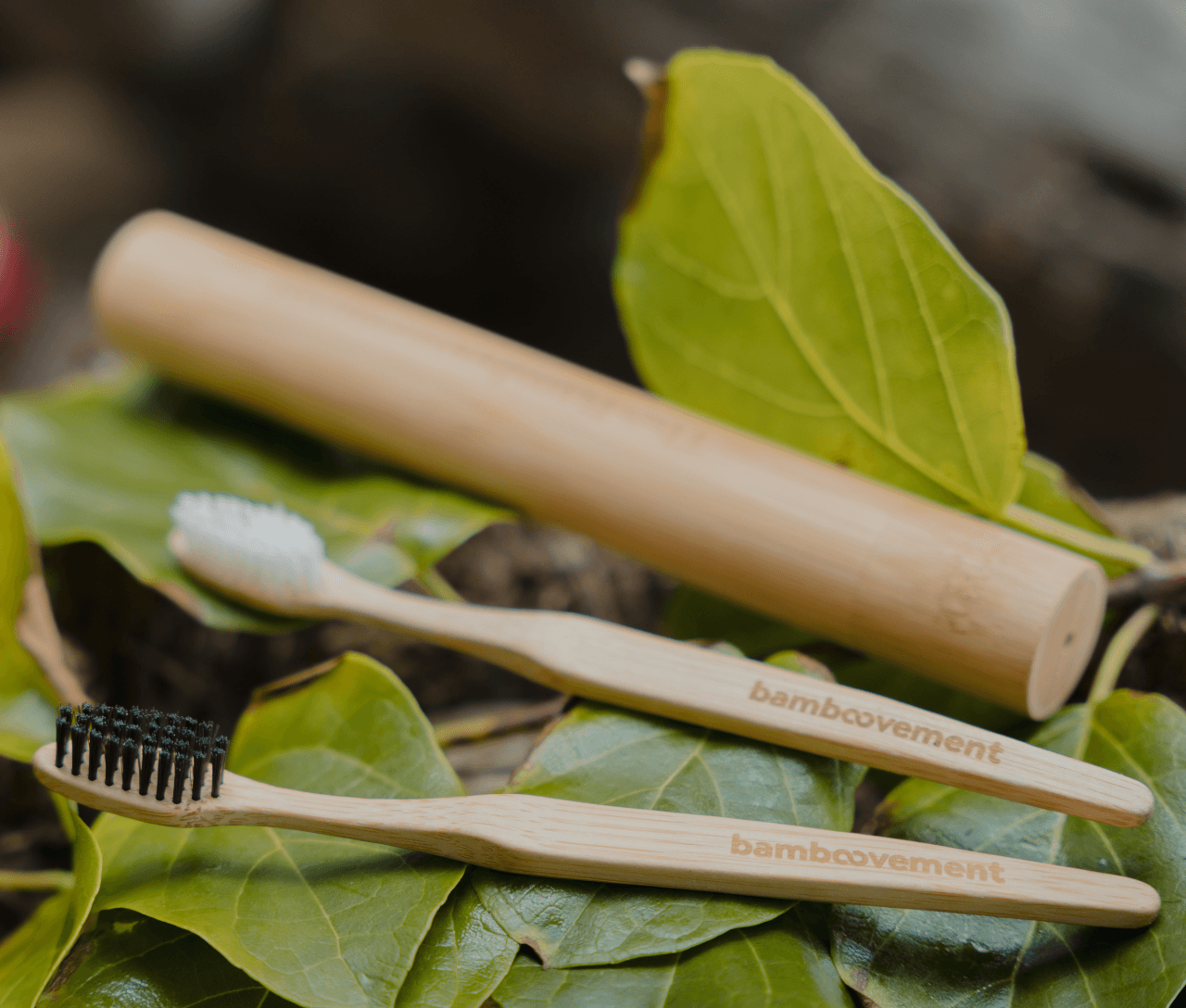 Eco-Friendly Oral Care for a Healthier Smile and Planet