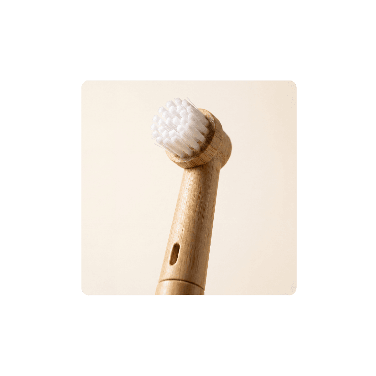 Welke bamboe opzetborstel past op je Oral-B?