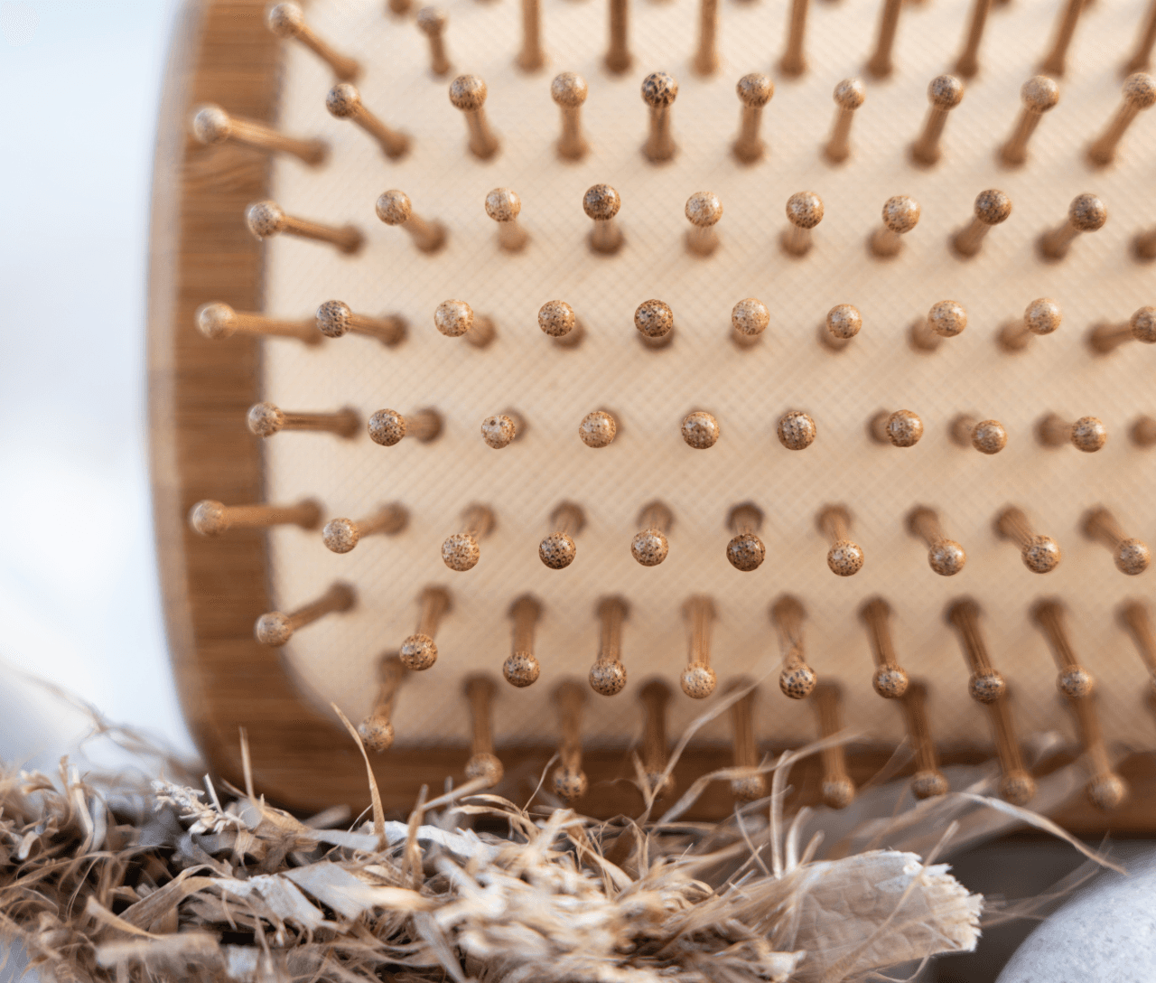 Sustainable Hair Care Made Easy