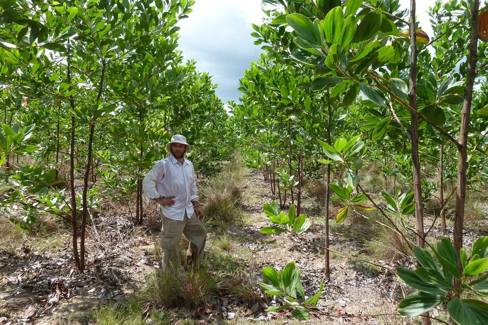 From Product to Planet