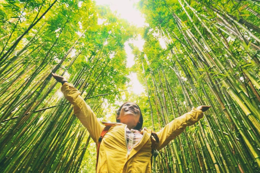A happy girl in bamboo forest